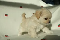 processed/85b74599-50a7-4888-a0d0-1c7ecdc2d49a/listing/74366e03-7244-417d-bca0-ad8f0c37eec9/f251f1e6-81b3-437a-9acb-50dd8fbb3fc9