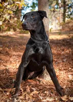 processed/85bc8a9b-af5a-4e02-acaa-6ff6fbded02b/listing/25ef4587-6c97-4caf-8b3e-53ed1bb54a9b/df1e5914-5eb3-4e7a-8f22-4851f58dce34