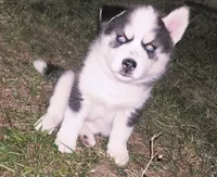 processed/85bc9937-85f6-4365-8453-f252b2a33a21/listing/30c8586d-4575-45b8-806d-cc29c813a059/4179b20f-2197-48f3-9bd4-507cdfa0b8fa