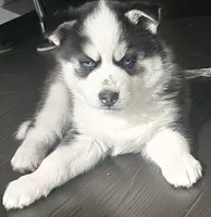 processed/85bc9937-85f6-4365-8453-f252b2a33a21/listing/30c8586d-4575-45b8-806d-cc29c813a059/ef7a20e8-2f42-4b5f-8d37-125f36fbb4fc