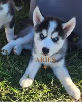 processed/85bc9937-85f6-4365-8453-f252b2a33a21/listing/33f3a7e5-2d49-4fc5-b78c-6549cc24665d/d6058cbf-76d4-4bf9-b43a-c35ac4cd46d6