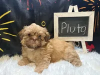 processed/8600ec3e-5224-4011-b431-010d0055619d/listing/93fdda1a-8532-4271-8bc9-6fc48b024b4e/4a5e1147-53d9-4a1c-8a7b-39cd1c6d1ee5