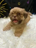 processed/8600ec3e-5224-4011-b431-010d0055619d/listing/93fdda1a-8532-4271-8bc9-6fc48b024b4e/6573eefd-b030-42b3-a835-a62e7d957b16