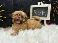 processed/8600ec3e-5224-4011-b431-010d0055619d/listing/93fdda1a-8532-4271-8bc9-6fc48b024b4e/76a93e0f-cd34-46de-ba66-9db718dfca95