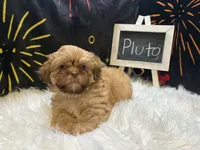 processed/8600ec3e-5224-4011-b431-010d0055619d/listing/93fdda1a-8532-4271-8bc9-6fc48b024b4e/b7de9166-4042-4a04-b9f5-5272978de250