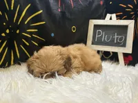 processed/8600ec3e-5224-4011-b431-010d0055619d/listing/93fdda1a-8532-4271-8bc9-6fc48b024b4e/bc9ed86d-a640-4d9b-8556-4a4ccf6aadcc