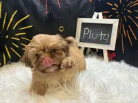 processed/8600ec3e-5224-4011-b431-010d0055619d/listing/93fdda1a-8532-4271-8bc9-6fc48b024b4e/caf8eafd-2125-44f6-9d6a-5f68d16343af