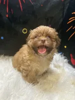 processed/8600ec3e-5224-4011-b431-010d0055619d/listing/93fdda1a-8532-4271-8bc9-6fc48b024b4e/dee2f369-d25b-4f5b-91e9-899b887db181