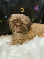 processed/8600ec3e-5224-4011-b431-010d0055619d/listing/d14dea24-6f16-4f4c-afd5-1c503c727b18/21c95de0-144a-4d9f-b8be-d7d2815e9031