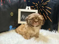 processed/8600ec3e-5224-4011-b431-010d0055619d/listing/d14dea24-6f16-4f4c-afd5-1c503c727b18/39f82ee3-6258-4a7d-9700-0f1d0c64e3ff