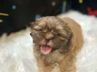 processed/8600ec3e-5224-4011-b431-010d0055619d/listing/d14dea24-6f16-4f4c-afd5-1c503c727b18/5cb3e30e-1e93-452f-a032-f1326d536a4e