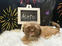 processed/8600ec3e-5224-4011-b431-010d0055619d/listing/d14dea24-6f16-4f4c-afd5-1c503c727b18/7270e39c-ceaf-484f-ad92-1d06fe4c7a2a