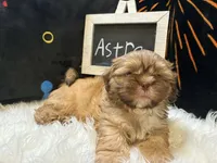 processed/8600ec3e-5224-4011-b431-010d0055619d/listing/d14dea24-6f16-4f4c-afd5-1c503c727b18/7723750c-8d11-48c4-9adf-9c271c0ffb93