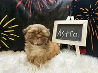 processed/8600ec3e-5224-4011-b431-010d0055619d/listing/d14dea24-6f16-4f4c-afd5-1c503c727b18/783b75c4-ae71-4611-863e-9936fbb9ddca