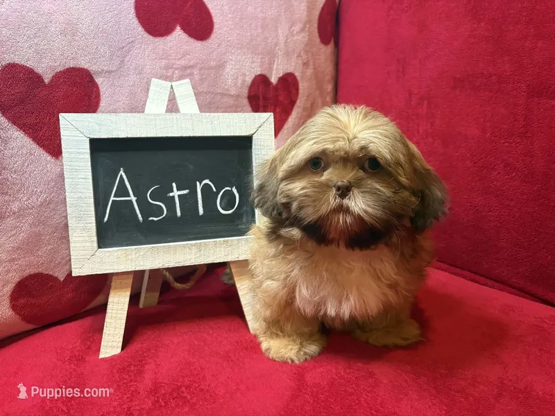 Astro