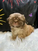 processed/8600ec3e-5224-4011-b431-010d0055619d/listing/d14dea24-6f16-4f4c-afd5-1c503c727b18/9310fa95-d95e-4d15-8303-b9837f913384