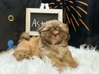 processed/8600ec3e-5224-4011-b431-010d0055619d/listing/d14dea24-6f16-4f4c-afd5-1c503c727b18/a2957603-2a41-41dd-95e7-e9e9d42a80f9