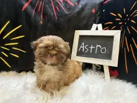 processed/8600ec3e-5224-4011-b431-010d0055619d/listing/d14dea24-6f16-4f4c-afd5-1c503c727b18/f5cd30ee-c31f-4466-99d8-f21581e6268a