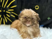 processed/8600ec3e-5224-4011-b431-010d0055619d/listing/db7a205a-6b0e-4394-abd4-c55c09e3b8d2/3aecca6e-00ae-4101-bb42-bdcdf49ebf98