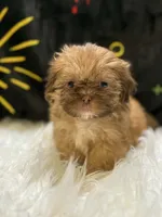 processed/8600ec3e-5224-4011-b431-010d0055619d/listing/db7a205a-6b0e-4394-abd4-c55c09e3b8d2/3af4f734-dc33-49a6-b3f5-73f5205320d5