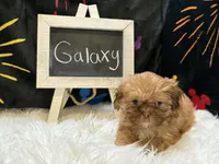 processed/8600ec3e-5224-4011-b431-010d0055619d/listing/db7a205a-6b0e-4394-abd4-c55c09e3b8d2/49db0bbc-a72e-4fbc-b638-53bd62100d11