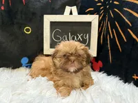 processed/8600ec3e-5224-4011-b431-010d0055619d/listing/db7a205a-6b0e-4394-abd4-c55c09e3b8d2/7f410ae2-7cd8-4e73-9d01-b812ad1d0899