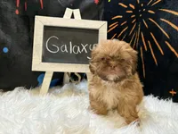 processed/8600ec3e-5224-4011-b431-010d0055619d/listing/db7a205a-6b0e-4394-abd4-c55c09e3b8d2/80b1fe6e-63e9-4ae1-9105-f9073e2e0701