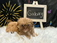 processed/8600ec3e-5224-4011-b431-010d0055619d/listing/db7a205a-6b0e-4394-abd4-c55c09e3b8d2/84c7fbc6-0341-4f77-9644-ea3e6f0b35e4