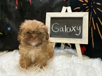 processed/8600ec3e-5224-4011-b431-010d0055619d/listing/db7a205a-6b0e-4394-abd4-c55c09e3b8d2/b0e0de8f-a533-48c7-ac23-0a281c62712a