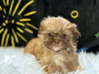 processed/8600ec3e-5224-4011-b431-010d0055619d/listing/db7a205a-6b0e-4394-abd4-c55c09e3b8d2/b59d063d-3e6f-4e02-a82a-28add5ccaf9b