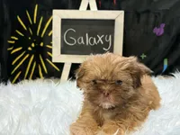 processed/8600ec3e-5224-4011-b431-010d0055619d/listing/db7a205a-6b0e-4394-abd4-c55c09e3b8d2/e7331aba-1fcd-4813-a626-a8f079a76eb0