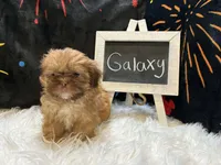 processed/8600ec3e-5224-4011-b431-010d0055619d/listing/db7a205a-6b0e-4394-abd4-c55c09e3b8d2/e9157b1a-6b4e-4be2-a3ae-0163a92bc24c