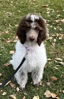 processed/86068ddd-9679-4801-8425-84345f8864e4/listing/1bd180c7-415b-466c-80a6-6ac7eb7dce56/02228604-3815-4417-9e31-a98f6e5907e4