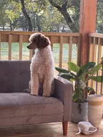 processed/86068ddd-9679-4801-8425-84345f8864e4/listing/1bd180c7-415b-466c-80a6-6ac7eb7dce56/5a202495-1cbc-4548-9dc3-f9e2ff534d7e