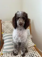 processed/86068ddd-9679-4801-8425-84345f8864e4/listing/1bd180c7-415b-466c-80a6-6ac7eb7dce56/e25e987a-2728-4d3a-88db-afdec009d466