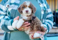 processed/86068ddd-9679-4801-8425-84345f8864e4/listing/3323b372-9dda-4a93-b93b-64657373b4ed/08edf9ba-f381-485b-ba29-4844a58b6023