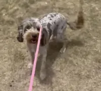 processed/86068ddd-9679-4801-8425-84345f8864e4/listing/3323b372-9dda-4a93-b93b-64657373b4ed/25b95a43-57cc-487a-9b05-d7f58d739e2d