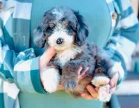 processed/86068ddd-9679-4801-8425-84345f8864e4/listing/3323b372-9dda-4a93-b93b-64657373b4ed/791b0c13-2798-4f26-b84d-e95c21a40442