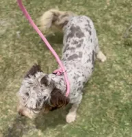 processed/86068ddd-9679-4801-8425-84345f8864e4/listing/3323b372-9dda-4a93-b93b-64657373b4ed/991aaec7-2706-4ba1-a1f8-9f6967540002