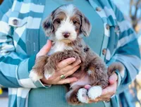 processed/86068ddd-9679-4801-8425-84345f8864e4/listing/3323b372-9dda-4a93-b93b-64657373b4ed/9b01b674-1258-4af8-af7c-14d9a820f621