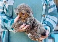 processed/86068ddd-9679-4801-8425-84345f8864e4/listing/3323b372-9dda-4a93-b93b-64657373b4ed/c4768b6e-37c8-4428-90c0-534f95664c57