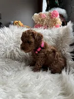 processed/86092ca1-a78e-4838-bb27-f30573f8f6b3/listing/27e529d2-775f-487c-8624-3c257d30eedd/07a9e321-5c66-464f-a33e-33300fcd0df3