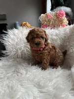 processed/86092ca1-a78e-4838-bb27-f30573f8f6b3/listing/27e529d2-775f-487c-8624-3c257d30eedd/bb80b390-b912-4009-b721-98a971e58cf6