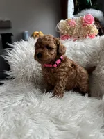 processed/86092ca1-a78e-4838-bb27-f30573f8f6b3/listing/27e529d2-775f-487c-8624-3c257d30eedd/f233e2a0-254f-418b-bd13-0e0812380d71