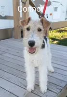 processed/860a8c25-33db-42c7-a51e-5b54a95f3d3b/facility/1e63145b-4724-4b29-8dd2-69c676708a83