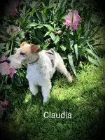 processed/860a8c25-33db-42c7-a51e-5b54a95f3d3b/facility/38753f04-d0f6-4afe-81f1-e474199fd460