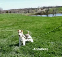 processed/860a8c25-33db-42c7-a51e-5b54a95f3d3b/facility/5a1b7350-5125-4cba-ade6-0ab704bce3fd