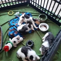 processed/860a8c25-33db-42c7-a51e-5b54a95f3d3b/facility/70e412ed-b7ba-4193-8409-1a88b94edb74