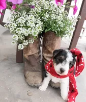 processed/860a8c25-33db-42c7-a51e-5b54a95f3d3b/facility/97f0252e-af05-4692-bc58-644389a1da9a