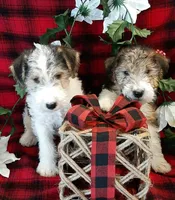 processed/860a8c25-33db-42c7-a51e-5b54a95f3d3b/facility/af2a3f53-3442-4737-8a84-670811da6e04